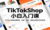 TikTokShop小白入门课：从平台认知到店铺运营，注册、出单、回款全流程手把