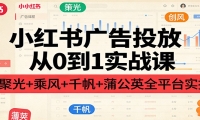 小红书广告投放从0到1实战课：聚光+乘风+千帆+蒲公英全平台实操