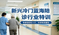 新兴冷门蓝海陪诊行业特训，零基础轻松入行，快速接单赚钱