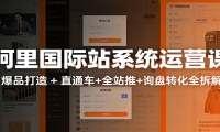 阿里国际站运营实战课：从店铺布局到TOP10旺铺，数据化运营，推广全攻略