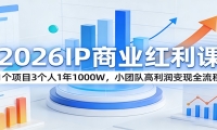 2026IP商业红利课：1个项目3个人1年1000W，小团队高利润变现全流程