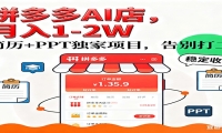 【独家】拼多多虚拟店，AI简历+PPT，单店月稳定1-2W，未来AI服务风口项目！