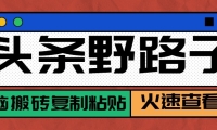头条单账号日收益300+野路子玩法赛道，无脑搬砖复制粘贴，保姆级教程