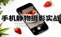 手机静物摄影实战，用手机搞定美食/生活/产品摄影，手残党也能快速出质感大