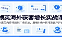 领英海外获客增长实战课：从定位内容搭建到广告投放，解锁B端外贸精准客户