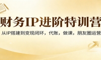 财务IP进阶特训营：从IP搭建到变现闭环，代账，做课，朋友圈运营