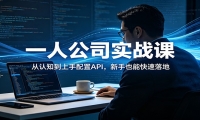 一人公司实战课：从认知到上手配置API，新手也能快速落地