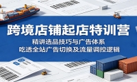 跨境店铺起店特训营：精讲选品技巧与广告体系，吃透全站广告切换及流量调控