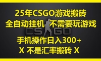 25年CSGO游戏搬砖，全自动挂机，不需要玩游戏，手机操作日入300+。(不是汇