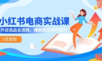 小红书电商实战课-5月更新，开店选品全流程，爆款笔记创作技巧