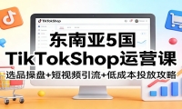 东南亚TikTokShop运营课：选品操盘+短视频引流+低成本投放攻略