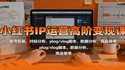 小红书IP运营高阶变现课：账号包装，对标分析，plog/vlog脚本，数据分析，