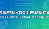 跨境电商VOC用户洞察特训：价值剖析+链路拆解+标签树设计，精准读懂海外用