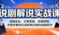 说剧解说实战课：选剧走位、文案思路、双端剪辑，手把手教你打造有辨识度的