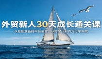 外贸新人30天成长通关课：从基础准备到平台运营，从零起步到百万订单实战
