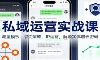 私域运营实战课：流量模板、裂变策略、 IP运营，解锁实体增长密码