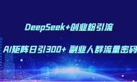 DeepSeek+创业粉引流 AI矩阵日引300+ 副业人群流量密码