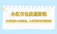小红书电商高阶课，多店矩阵+卡位选品，大红海类目突围指南（更新5月）