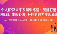 个人IP及未来发展训练营：品牌打造、职业规划、成长心法，开启影响力变现新