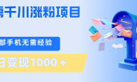 刚需千川涨粉项目，一部手机无需技术，单日变现1000＋当天做当天见收益