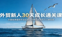 外贸新人30天成长通关课：从基础准备到平台运营，从零起步到百万订单实战
