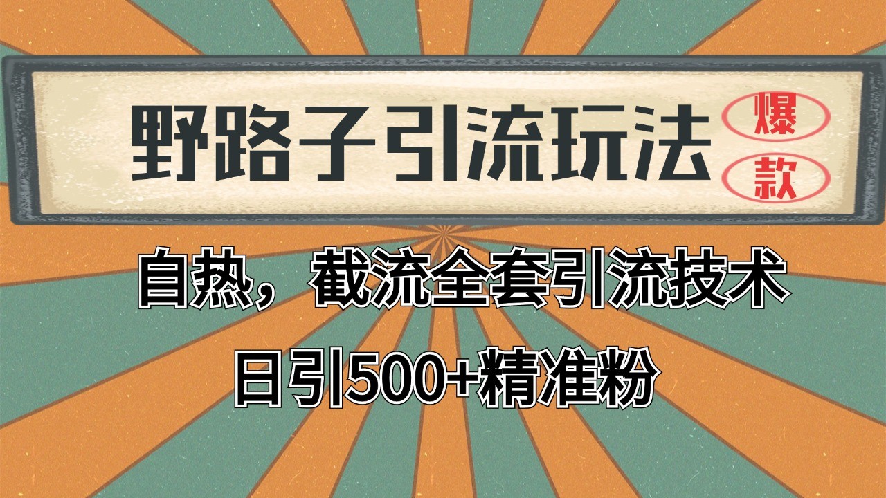 2024首发野路子引流玩法截流自热全平台打法，全自动引流【日引2000+精准客