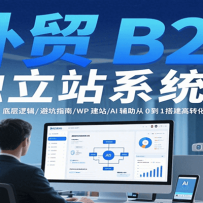 外贸B2B独立站系统课：底层逻辑/避坑指南/WP建站/AI辅助从0到1搭建高转化网