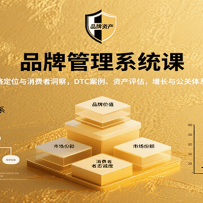 品牌管理系统课：战略定位与消费者洞察，DTC案例、资产评估，增长与公关体