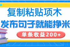 复制粘贴小项目，发布句子就能赚米，单条收益200+