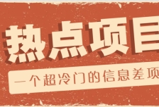 一个超冷门的信息差项目，出售各种协议模板，一个月收益竟高达20000+