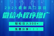 微信小程序撸广，最新风口项目，日入300+ 免费分享 可批量操作 小白可轻松