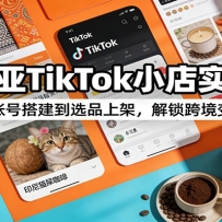 东南亚TikTok小店实操课：从账号搭建到选品上架，解锁跨境变现