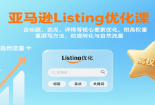 亚马逊Listing优化课：标题、卖点、详情等，高权重撰写方法，提转化与自然