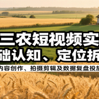 抖音三农短视频实操课：从基础认知、定位拆解到内容创作、拍摄剪辑及数据复
