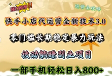 快手小店代运营全新技术3.0，零门槛长期稳定暴力玩法，被动躺赚一部手机轻