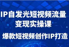 IP自发光短视频流量变现实操课，爆款短视频创作IP打造