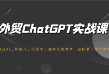 外贸ChatGPT实战课，通过AI工具提升工作效率，避免低价竞争，轻松拿下海外