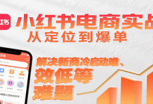 小红书电商实战，从定位到爆单解决新商冷启动难、变现效率低等难题