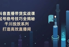 抖音直播带货实战课：起号稳号技巧全揭秘, 千川投放系列, 打造高效直播间