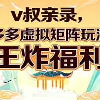 v叔亲录，多多虚拟矩阵玩法，王炸福利限时领取