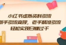 小红书虚拟资料引流，新手引流变现，老手精准引流，轻松实现日赚过千