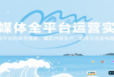 自媒体全平台运营实战，主流平台的账号搭建、爆款内容生产、矩阵引流及电商