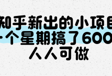 知乎新出的小项目，一个星期搞了600+，人人可做