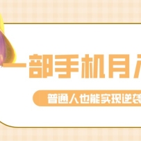 零成本零门槛普通人也能轻松赚钱的项目，仅靠一部手机，月入到手3w+！