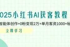2025小红书AI获客教程：AI智能体创作+0粉变现2万+单月客资1000+秘籍