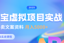 0基础淘宝虚拟项目垂直玩法，新手卖文案资料，月入5000+