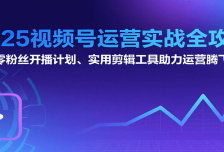 2025视频号运营实战全攻略：零粉丝开播计划、起号到到变现思维逻辑方法