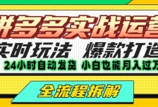 拼多多最新实战运营高投产：长久稳定项目，单店利润一天三位数