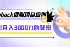 cashback返利项目培训：轻松月入3000刀的秘密（8节课）