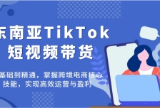 东南亚TikTok短视频带货，零基础到精通，掌握跨境电商核心技能，实现高效运